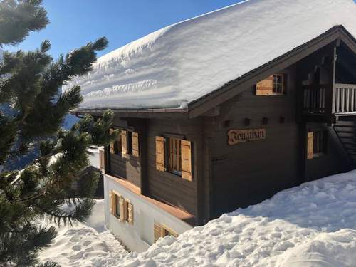 Ferienwohnung Jonathan Parterre  in 
Riederalp (Schweiz)