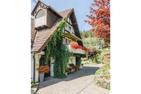 Ferienhaus in Eslohe-Niedersalwey (11 Personen)