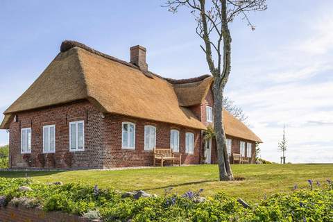 Ferienhaus Reethüs Rosenkranz Aventoft - Ferienunterkunft in Aventoft