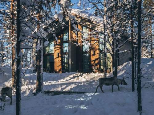 Ferienhaus Honka b