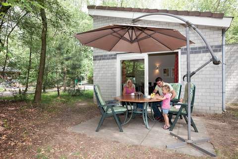 Vakantiepark de Berkenhorst 7 - Ferienunterkunft in Kootwijk (4 Personen)