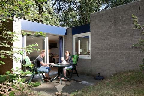 Vakantiepark de Berkenhorst 4 - Ferienunterkunft in Kootwijk (2 Personen)