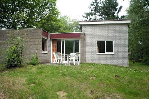 Vakantiepark de Berkenhorst 5 - Ferienunterkunft in Kootwijk (4 Personen)
