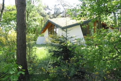 Vakantiepark Herperduin 6 - Ferienhaus in Herpen (8 Personen)