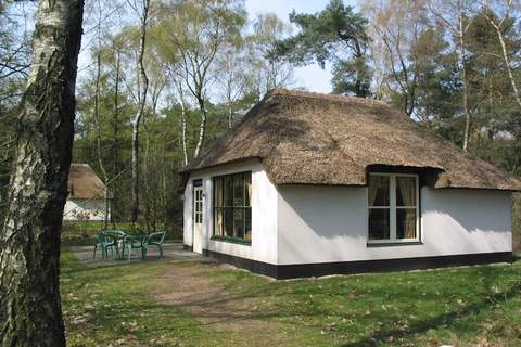 Vakantiepark Herperduin 1 - Ferienunterkunft in Herpen (4 Personen)