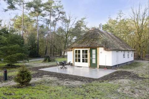 Vakantiepark Herperduin 16 - Ferienunterkunft in Herpen (4 Personen)