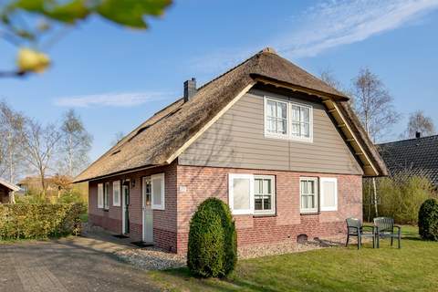 Buitenplaats De Hildenberg 2 - Ferienunterkunft in Appelscha (6 Personen)