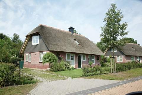 Buitenplaats De Hildenberg 5 - Ferienunterkunft in Appelscha (6 Personen)