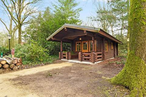 Parc Duc de Brabant 3 - Ferienunterkunft in Diessen-Baarschot (2 Personen)