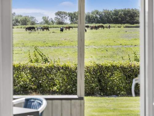Ferienhaus Janin - 400m from the sea