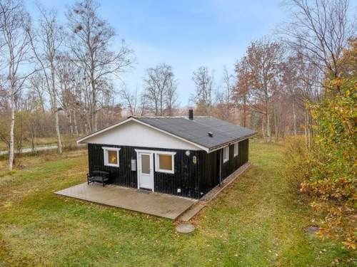 Ferienhaus Lonneke - 800m from the sea