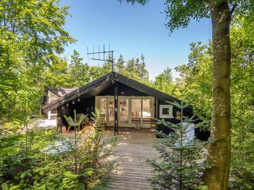 Ferienhaus Caya - 450m to the inlet