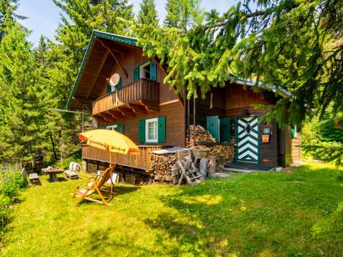 Ferienhaus Edelweisshütte