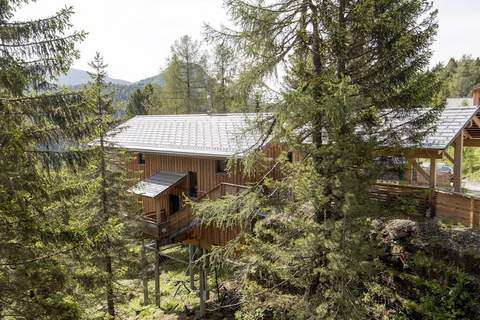 Alpenpark Turrach 43 - Ferienunterkunft in Turracher Höhe (13 Personen)