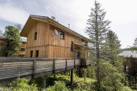 Alpenpark Turrach 46 - Ferienunterkunft in Turracher Höhe (12 Personen)