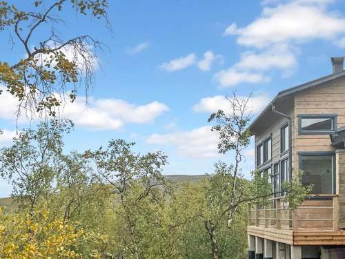 Ferienhaus Saana aurora