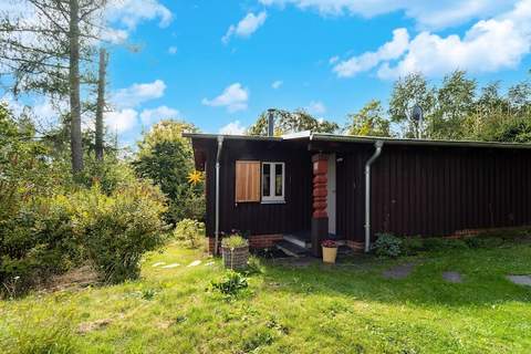 Waldhaus Harz - Ferienunterkunft in Allrode (4 Personen)