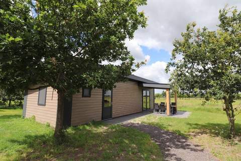 De Markestee chalet 2 - Ferienunterkunft in Blesdijke (6 Personen)