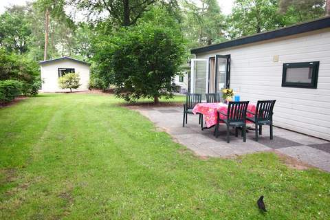 Bospark de Schaapskooi 8 - Ferienunterkunft in Wissel/Epe (4 Personen)