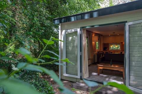 Bospark de Schaapskooi 5 - Ferienunterkunft in Wissel/Epe (6 Personen)