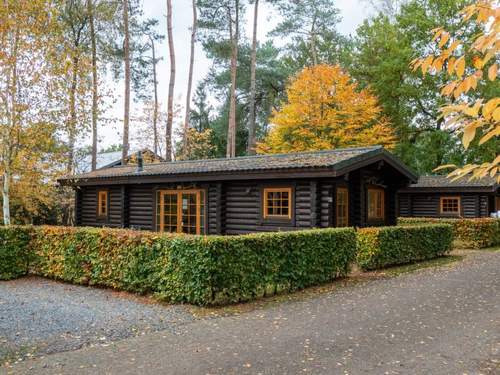 Ferienhaus Boekhorst 4