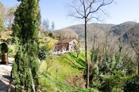 Le Piane - Ferienunterkunft in Lucca (4 Personen)