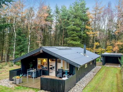 Ferienhaus Marthine - 650m to the inlet