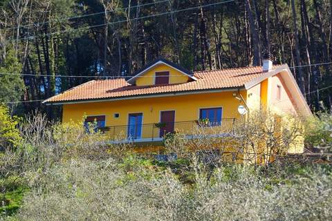Nelverde 12 - Ferienunterkunft in Pescia (12 Personen)