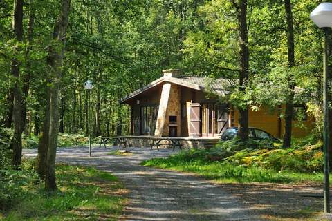 Mélèze - Ferienunterkunft in Viroinval (6 Personen)