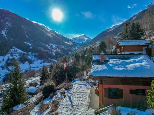 Ferienhaus, Chalet Le Boletus