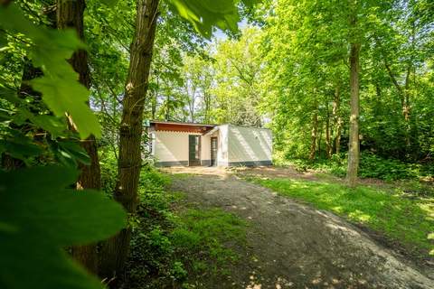 Boshuisje - Ferienunterkunft in Beesel (5 Personen)
