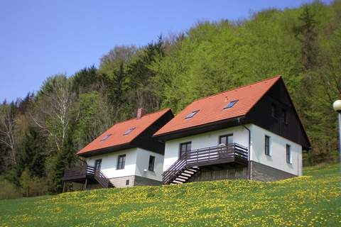 Green Valley Park 1 - Ferienunterkunft in Starkov (6 Personen)
