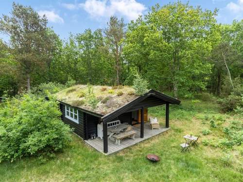 Ferienhaus Juho - 700m from the sea