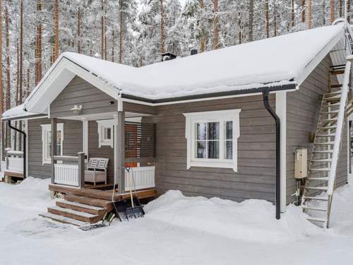 Ferienhaus Piin pirtti