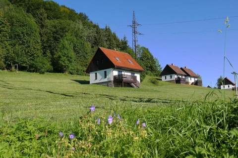 Green Valley Park 1 - Ferienunterkunft in Starkov (8 Personen)