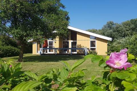 Ferienhaus Seeschwalbe-18 - Ferienunterkunft in Rechlin (4 Personen)