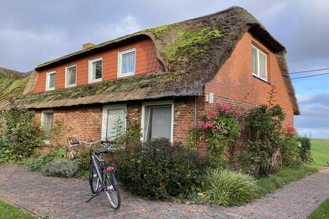 Opas Hus auf Pellworm 3 Pers - Ferienunterkunft in Pellworm (3 Personen)
