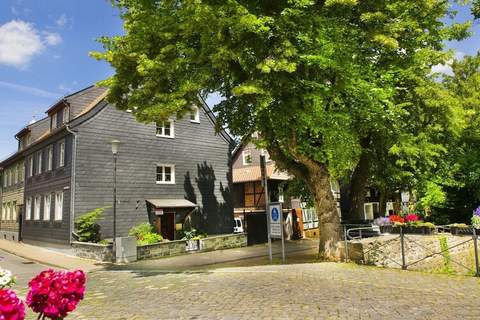 Ferienunterkunft in Goslar (4 Personen)