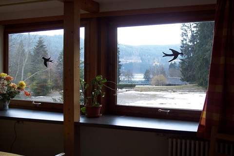 Ferienunterkunft in Titisee-Neustadt (4 Personen)
