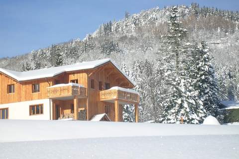 Les Chalets des Ayes 4 - Ferienunterkunft in Le Thillot (6 Personen)