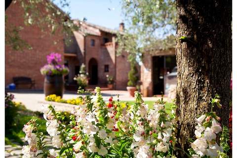 RESIDENCE BORGO TRE ROSE - Apartment TYPE C - Ferienunterkunft in Valiano de Montepulciano (6 Personen)