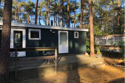 Koolmees - Ferienunterkunft in Wechelderzande (Lille) (4 Personen)