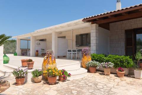 Tenuta Masiedd 1 Cisternino - Ferienunterkunft in Cisternino (4 Personen)