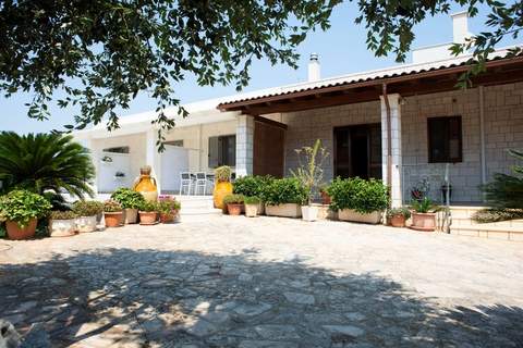 Tenuta Masiedd 2 Cisternino - Ferienunterkunft in Cisternino (4 Personen)