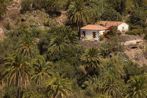 GC0260 Los Naranjillos - Ferienunterkunft in San Bartolome de Tirajana (5 Personen)