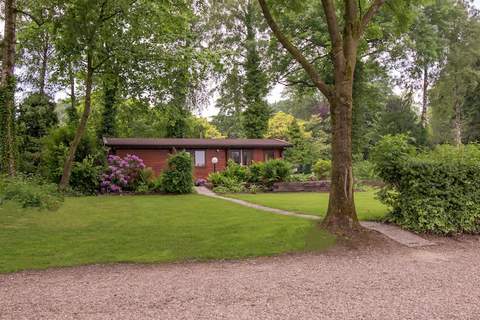 Chaletpark Kuiperberg 4 - Ferienunterkunft in Ootmarsum (4 Personen)