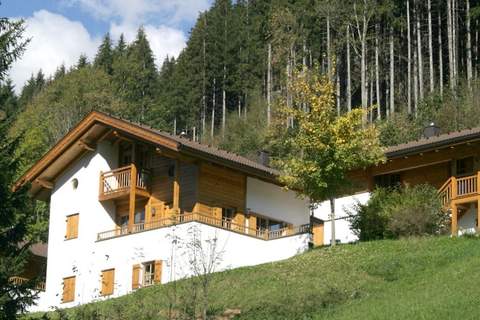 Schöneben Chalet 4-Jahreszeiten - Ferienunterkunft in Wald-Königsleiten (12 Personen)