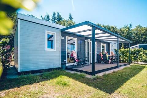 Forest Edge Chalet | 2 - 6 people - Ferienunterkunft in Voorthuizen (6 Personen)
