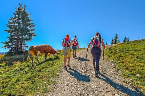Haus Andrea Cäciel - Ferienunterkunft in Brixen im Thale (4 Personen)