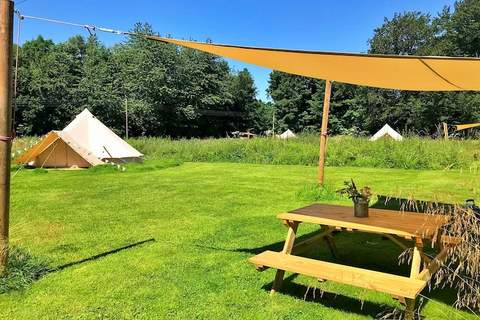 Lilypad Bell Tent - Ferienunterkunft in Swannington (4 Personen)